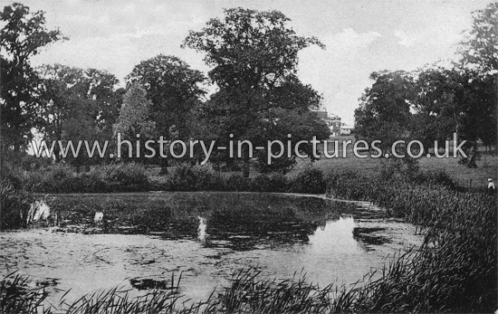 View of Nazeing Common, Essex. c.1908